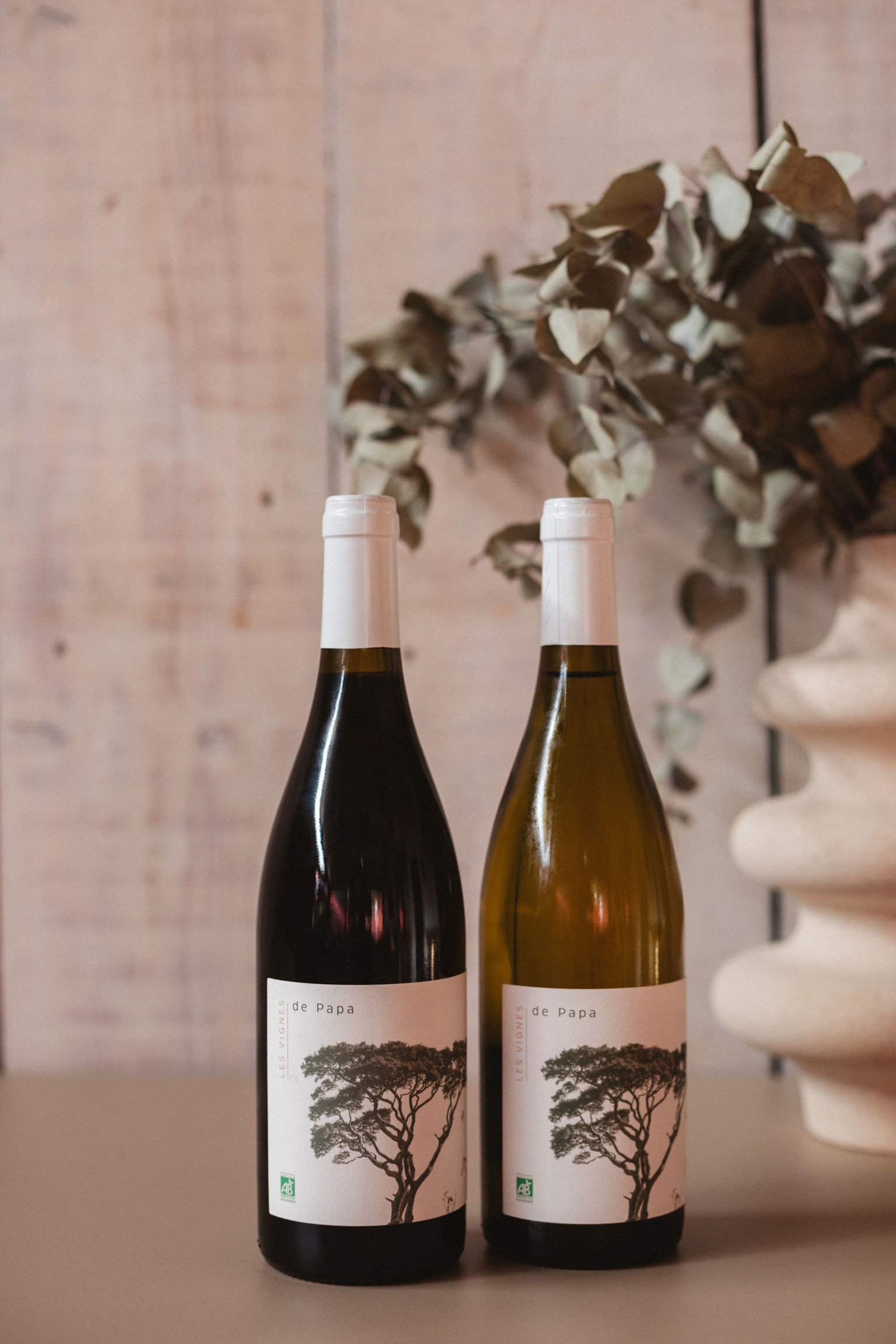 VINS Les vignes de Papa